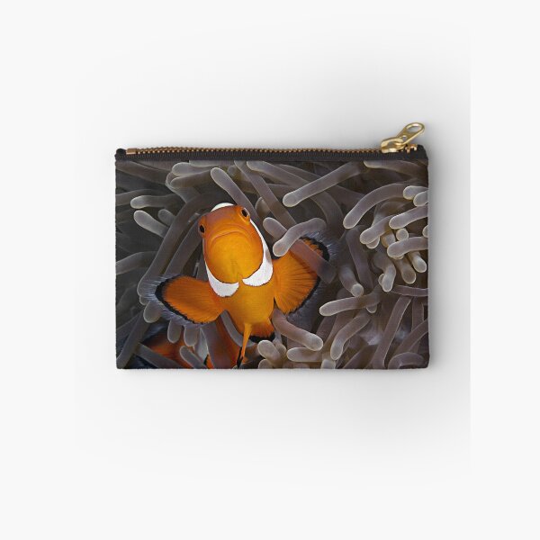 Item preview, Anemone Fish designed and sold by Henry Jager.