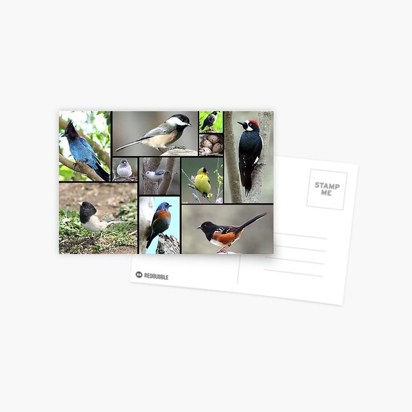 Item preview, Menagerie of Birds designed and sold by SKNickel.