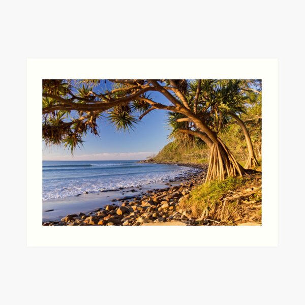 Noosa National Park, Queensland Art Print