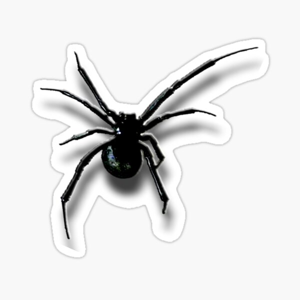 Black Widow Spider Stickers | Redbubble