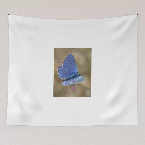 Item preview, Common Blue designed and sold by marens.