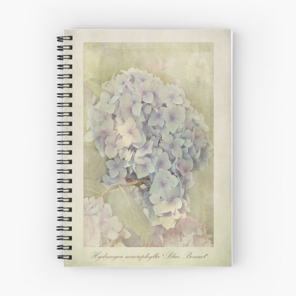 Item preview, Hydrangea macrophylla Blue Bonnet designed and sold by Creative by Design.