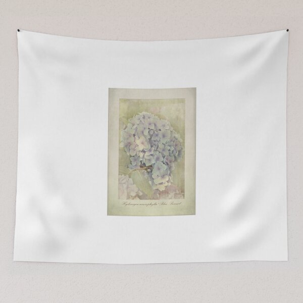 Item preview, Hydrangea macrophylla Blue Bonnet designed and sold by Creative by Design.