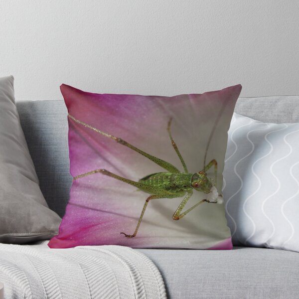 Item preview, Tiny Grasshopper on Mornig Glory designed and sold by marens.