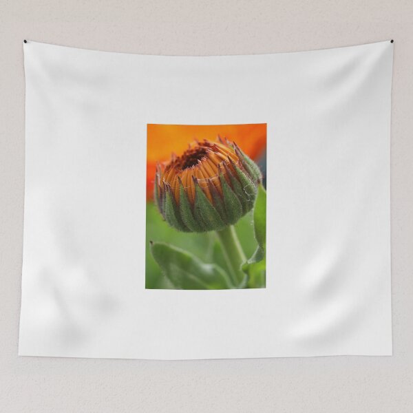 Item preview, Calendula designed and sold by marens.