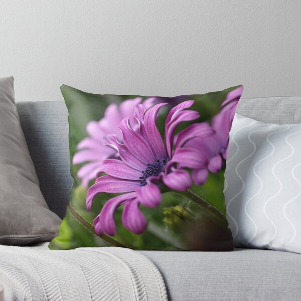 Item preview, African Daisies designed and sold by marens.