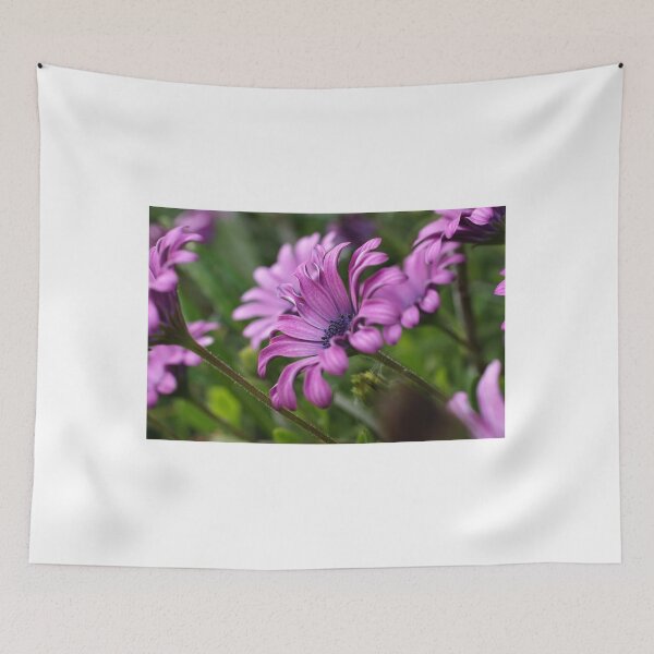 Item preview, African Daisies designed and sold by marens.