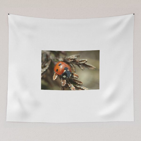 Item preview, Ladybird designed and sold by marens.