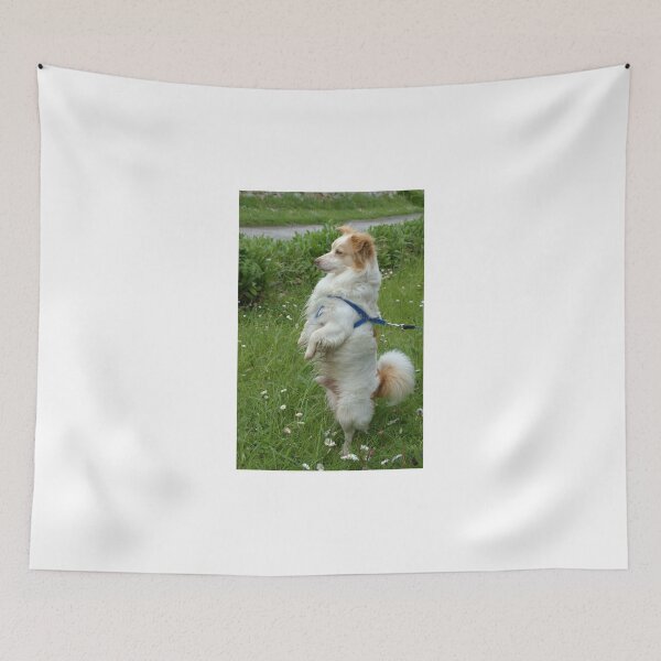 Item preview, Timmy designed and sold by marens.
