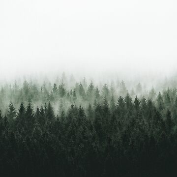 Artwork thumbnail, High And Low // Should Be A Fine Misty Fairytale Wilderness Forest With Cascadia Trees Covered In Magic Light And Fog by Tordis Kayma