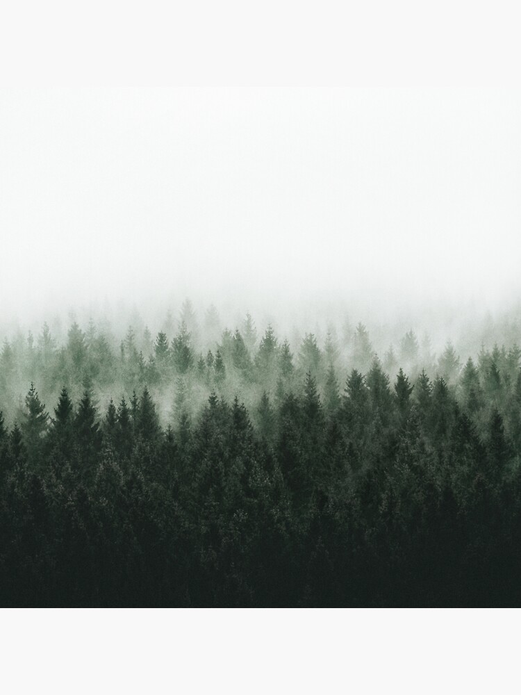 Thumbnail 3 of 3, Sticker, High And Low // Should Be A Fine Misty Fairytale Wilderness Forest With Cascadia Trees Covered In Magic Light And Fog designed and sold by tekay.