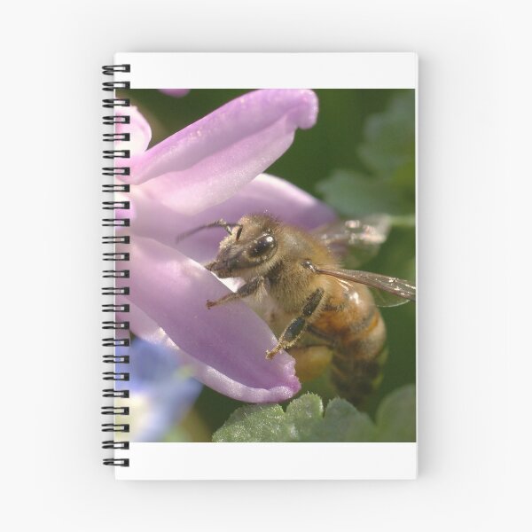 Item preview, Bee's Paradise designed and sold by marens.