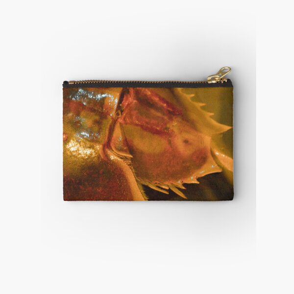 Item preview, Horseshoe Crab designed and sold by Asiantiger247.