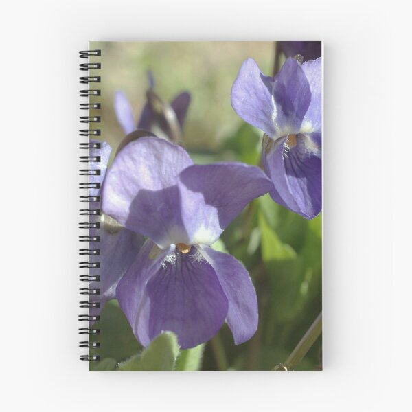 Item preview, Violets designed and sold by marens.