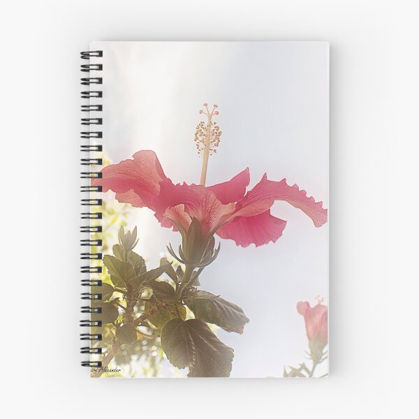 Aperçu de l'œuvre Hibiscus en fleur créée et vendue par tinymystic.
