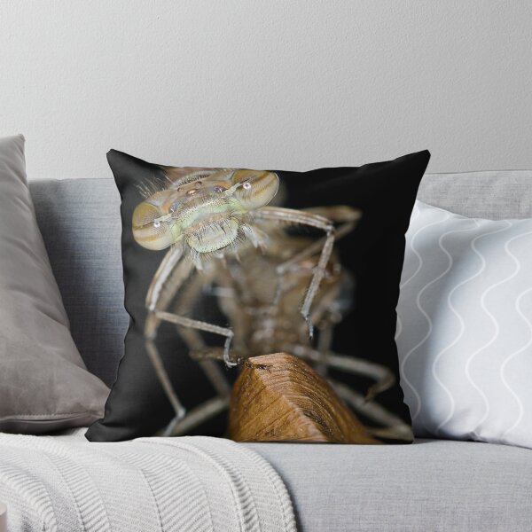 Artikelvorschau, Eclosing of the red damselfly entworfen und verkauft von Henry Jager.
