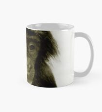 Where do I go from here? Tasse