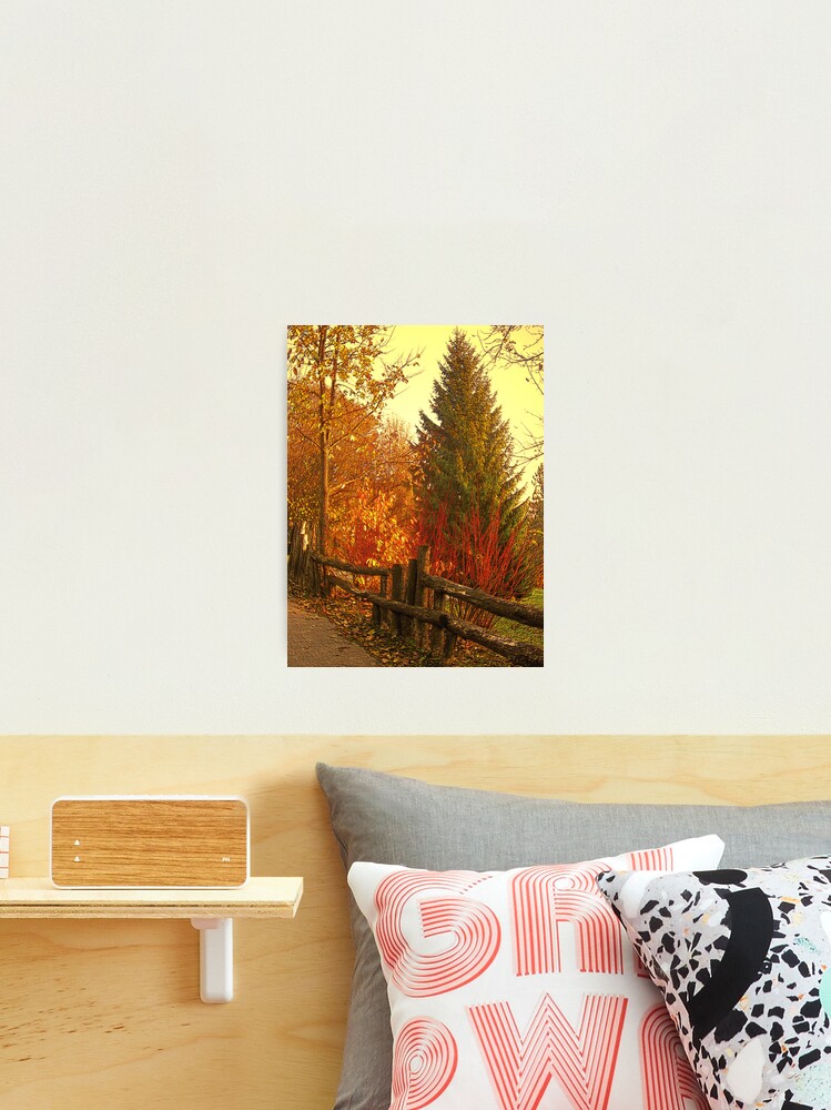 Thumbnail 2 of 3, Photographic Print, PARK designed and sold by TatianaMichaela.
