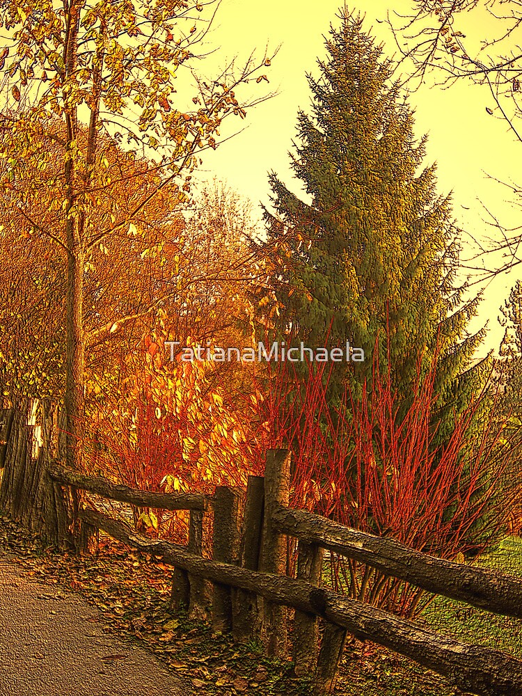 Thumbnail 3 of 3, Photographic Print, PARK designed and sold by TatianaMichaela.