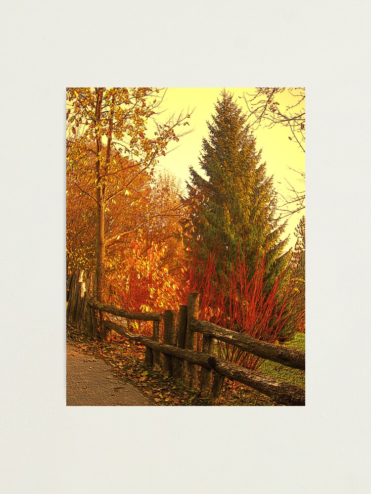 Thumbnail 1 of 3, Photographic Print, PARK designed and sold by TatianaMichaela.