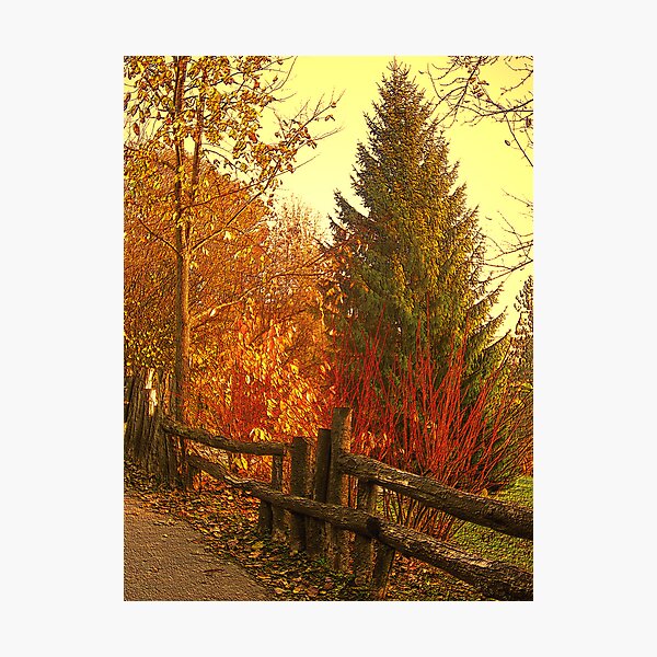 Photographic Print