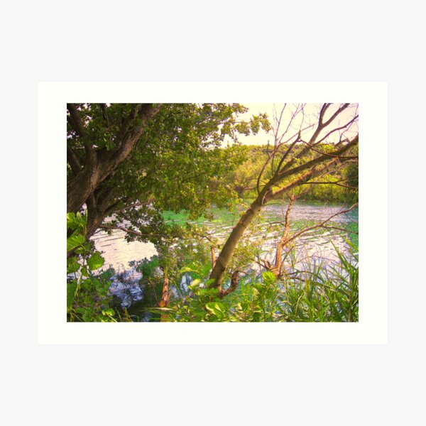 Art Print