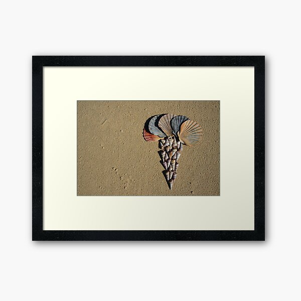 Shell Flower Framed Art Print