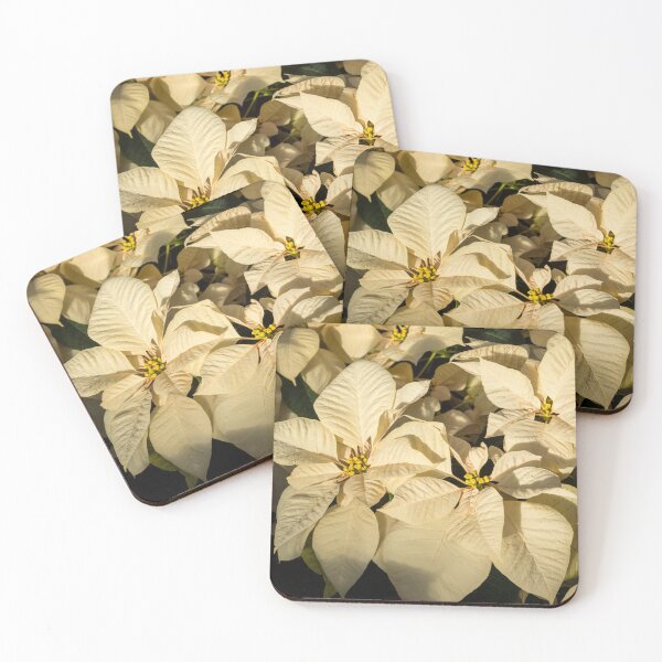Item preview, Elegant Cream and Ivory - a Fabulous Poinsettia Christmas Greeting designed and sold by Georgia Mizuleva.