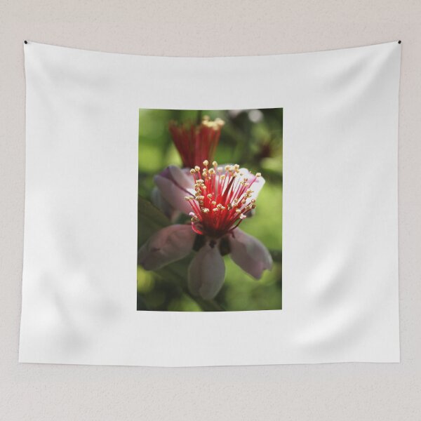 Item preview, Feijoa designed and sold by marens.