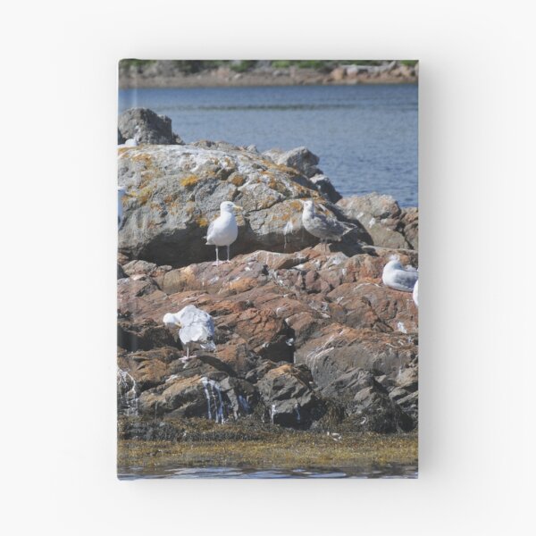 Item preview, Seagulls Gathered on the Rocks designed and sold by 2CrabbySisters.