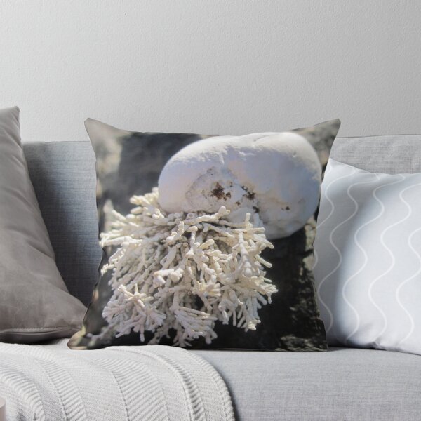 Aperçu de l'œuvre Coral Shell créée et vendue par LizardSpirit.