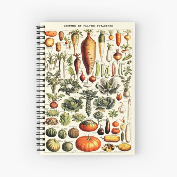 Artikel-Vorschau von Weinlese-botanisches Wand-Kunst-Gemüse, designt und verkauft von Sintija BILIKA.