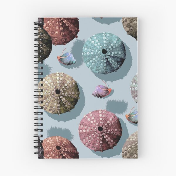 Item preview, Sea Urchins designed and sold by Karin Taylor.