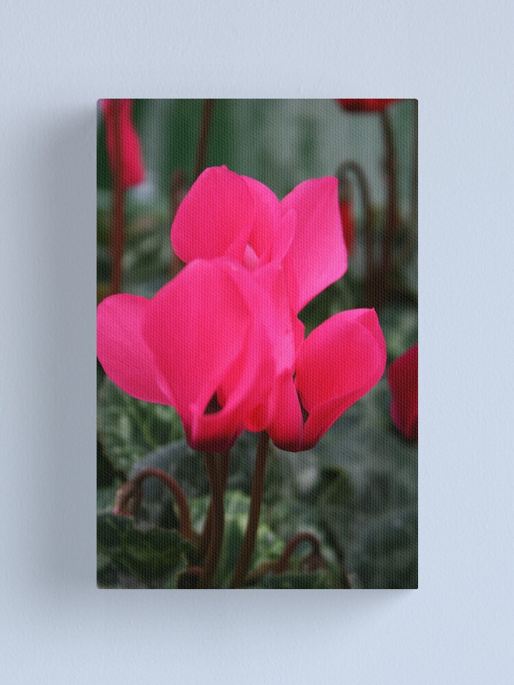 Alternate view of Cyclamen Canvas Print
