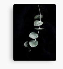Listening to Silence Canvas Print