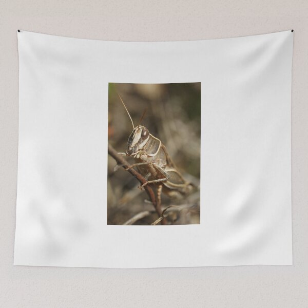 Item preview, Italian Locust designed and sold by marens.