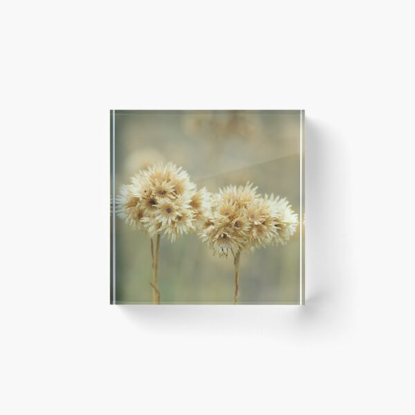 Item preview, Faded designed and sold by marens.