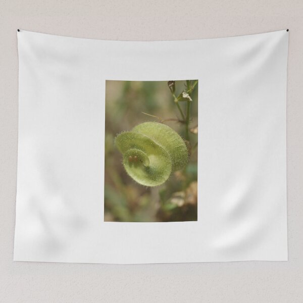 Item preview, Button Clover designed and sold by marens.