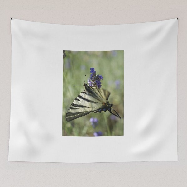 Item preview, Scarce Swallowtail designed and sold by marens.