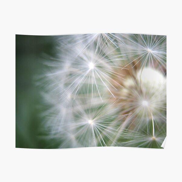 Puff Daddy Poster