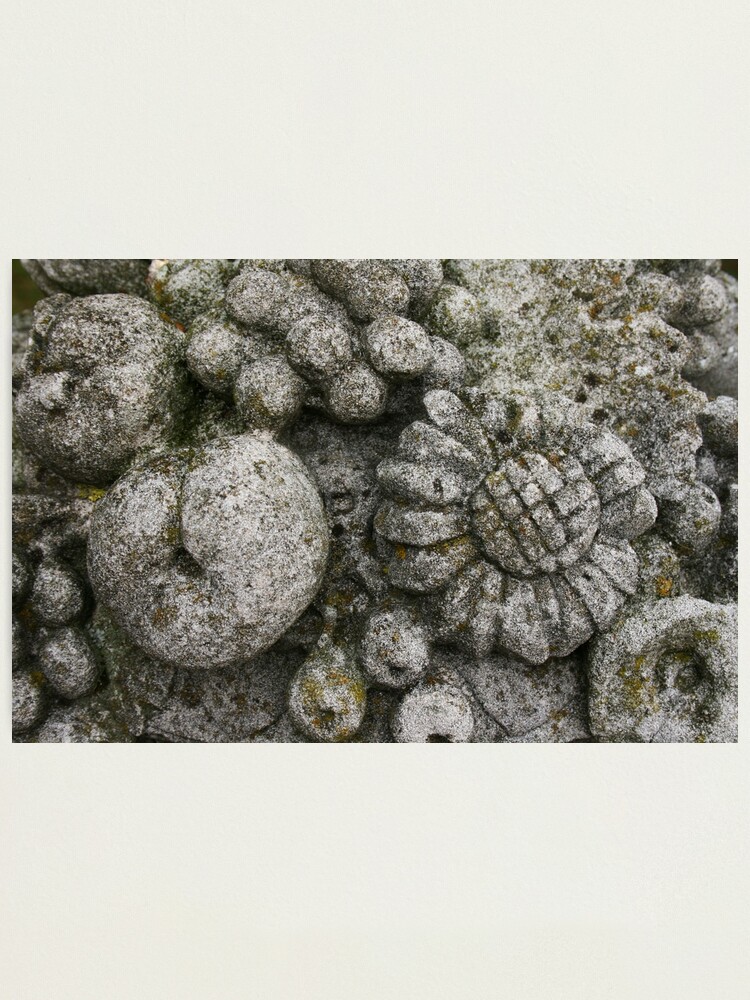 Alternate view of Stone Photographic Print