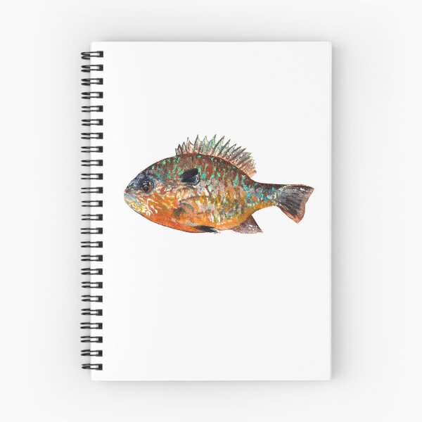 Item preview, Pumpkinseed Sunfish Watercolor Illustration designed and sold by Uplift Illustrations.