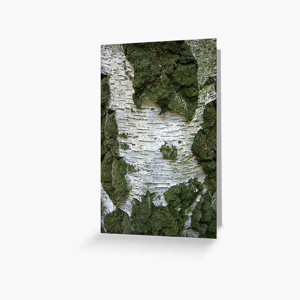 Tree Bark... Greeting Card