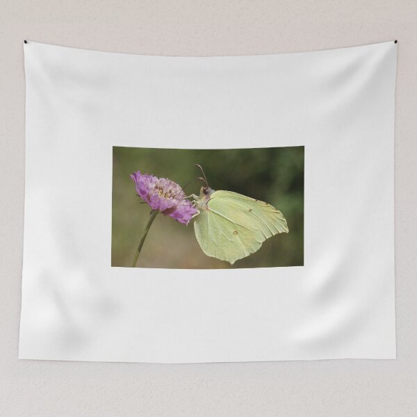 Item preview, Brimstone designed and sold by marens.