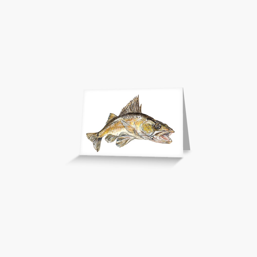 Walleye Watercolor Illustration | Greeting Card