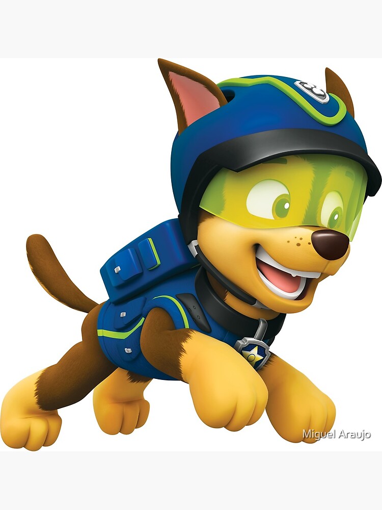 super chase paw patrol