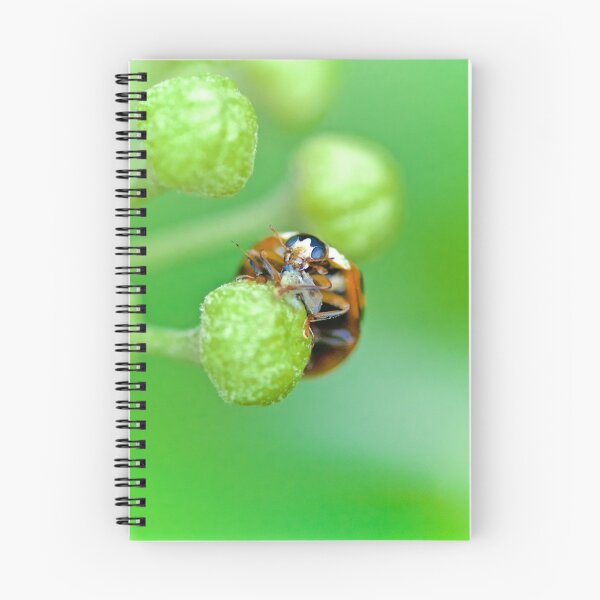 Item preview, HOW GREEN WE ARE designed and sold by NICK COBURN PHILLIPS.