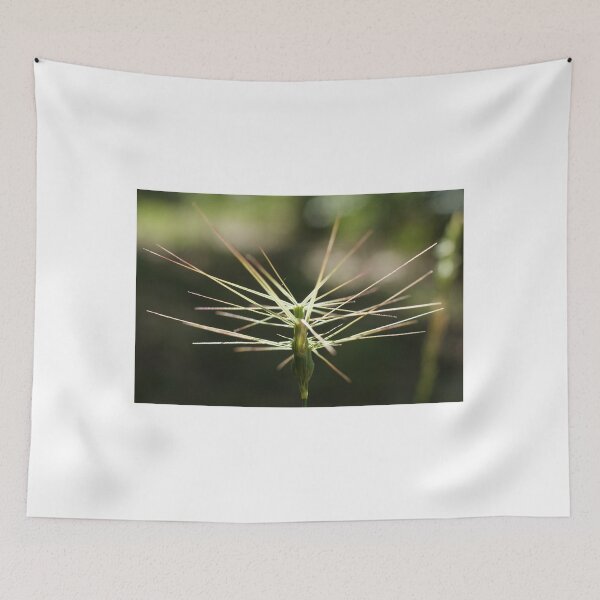 Item preview, Three-awn Goat Grass designed and sold by marens.