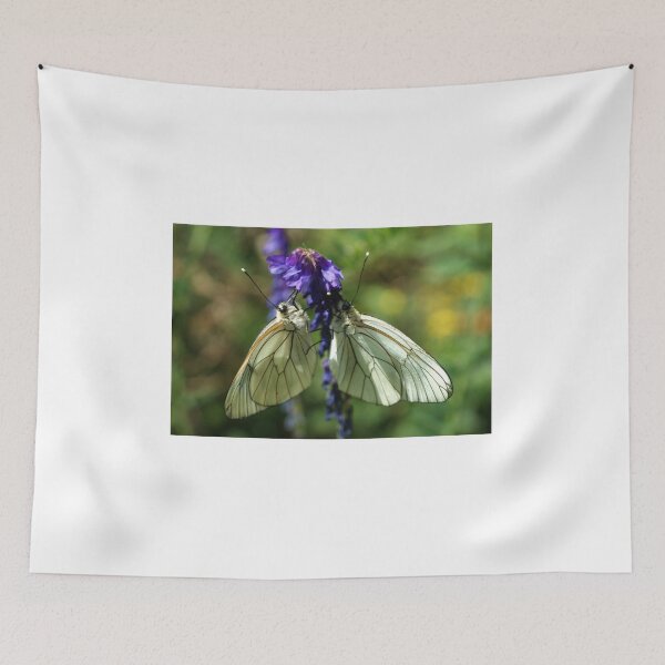 Item preview, Black-veined Whites designed and sold by marens.