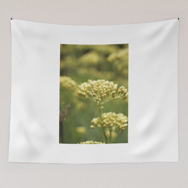 Item preview, Curry Plant designed and sold by marens.